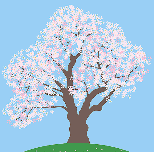 桜のフリーイラスト