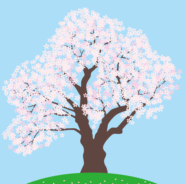 桜のフリーイラスト