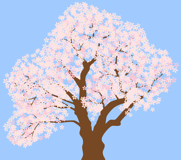 桜のフリーイラスト